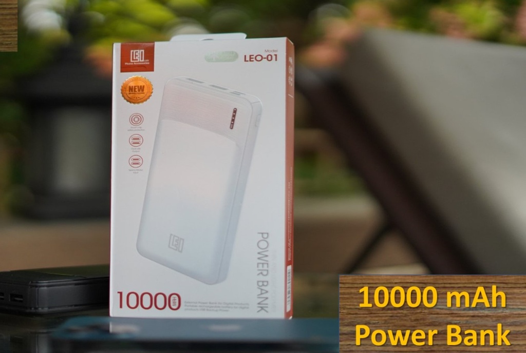 LEO 01